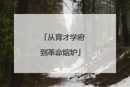 从育才学府到革命熔炉